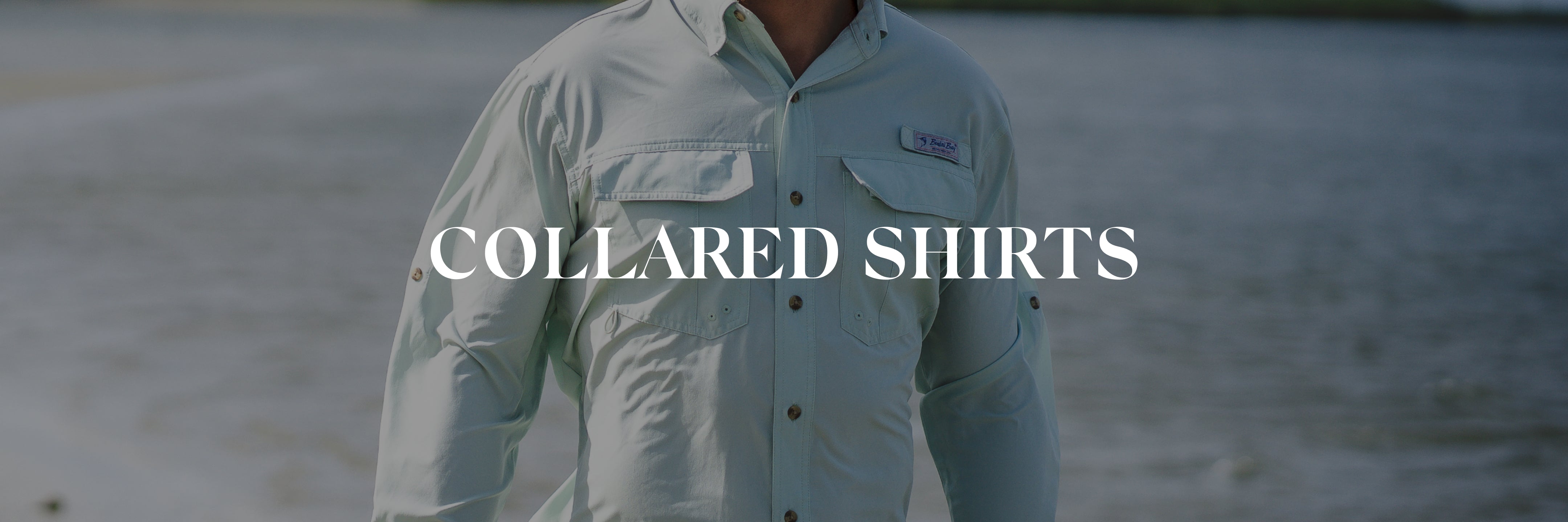 Collared Shirts